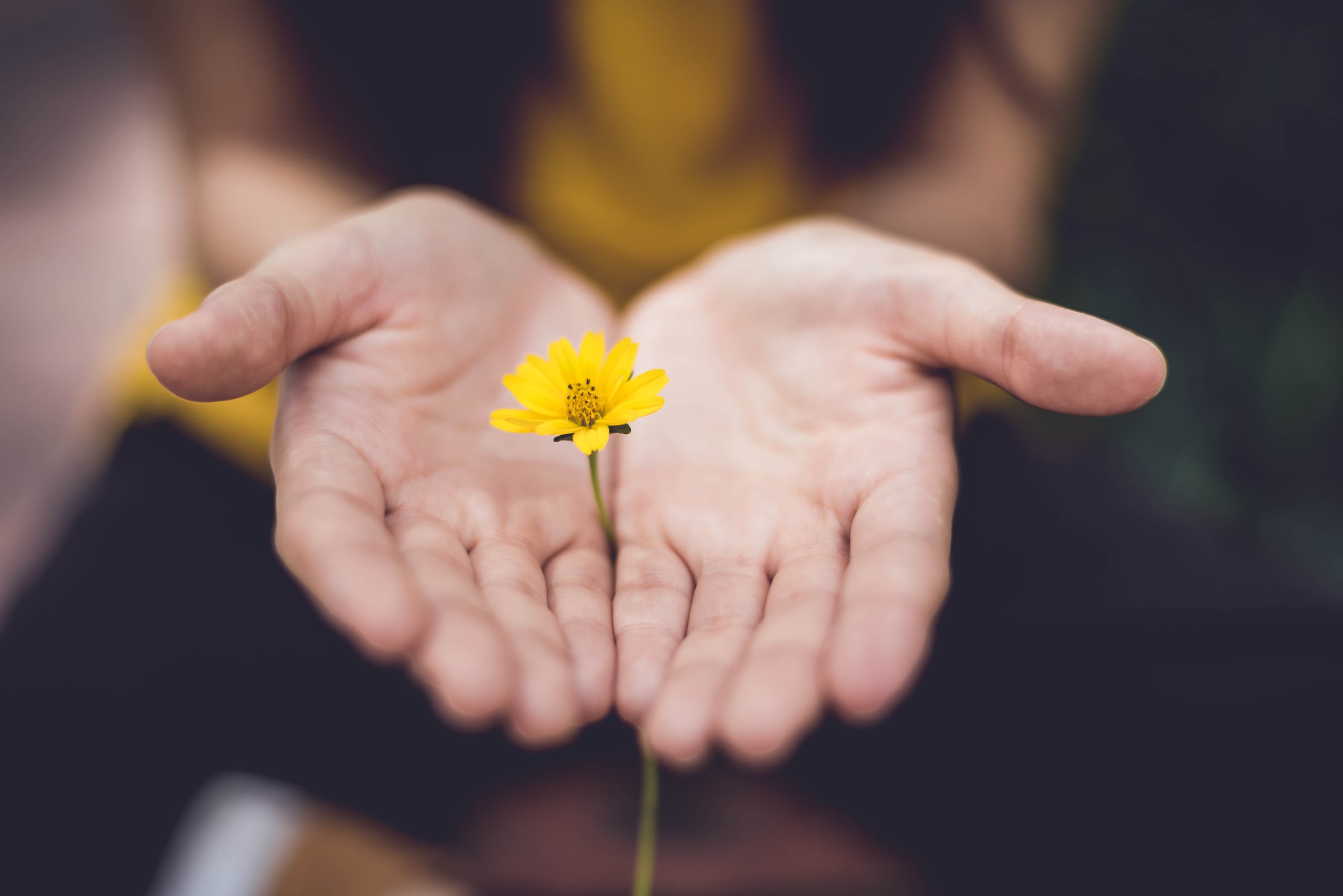 PitxuEvent : un standiste durable et responsable